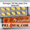 Kamagra 100 Mg Oral Jelly Sildenafil 42